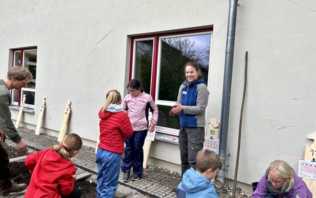 Start der GemüseAckerdemie – 1.Pflanzung im Schulgarten